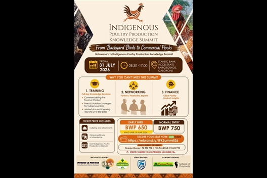 INDIGENOUS POULTY PRODUCTION
