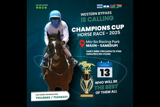 PREMIER CHAMPIONS CUP HORSE