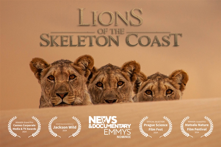 .LIONS OF THE SKELETON COAST