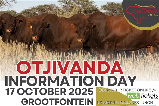 OTJIVANDA INFORMATION DAY AND BONSMARA AUCTION
